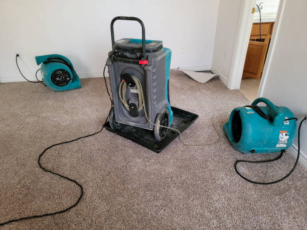 Best Water damage restoration near me  in Maunawili, HI