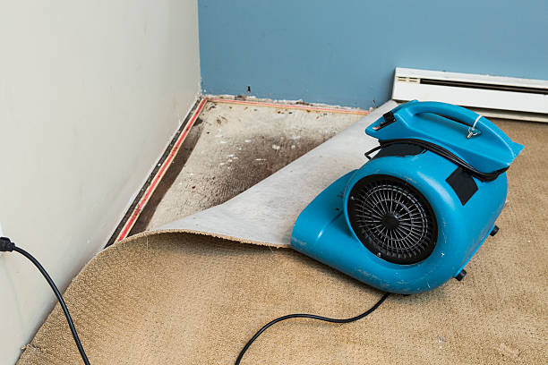 Best Water damage restoration near me  in Maunawili, HI